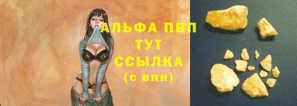 амф Корсаков