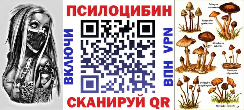 Псилоцибиновые грибы GOLDEN TEACHER  Зея 